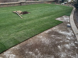 Backyard Glow-Up: My Inaugural Blog Post & DIY Grass Transformation